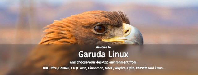 OS garuda.JPG